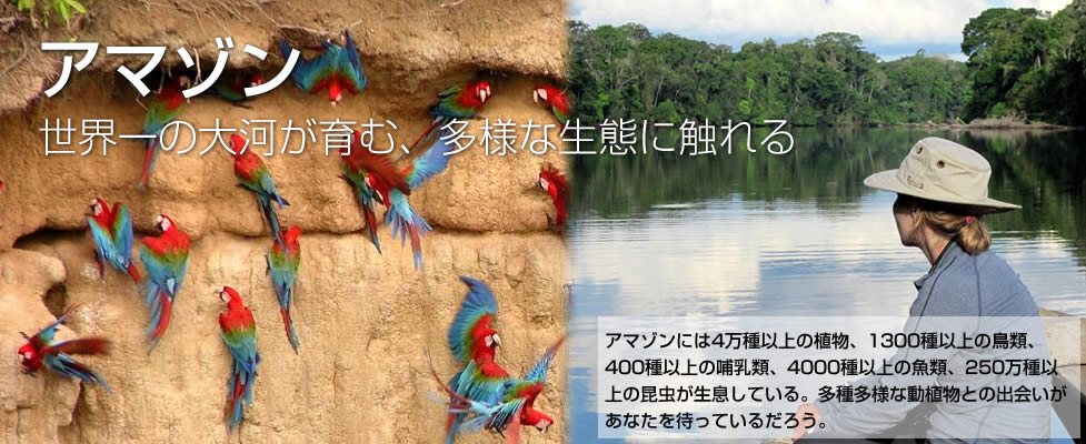 アマゾン