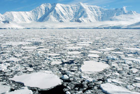 南極の流氷