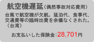 航空機遅延（偶然事故対応費用）